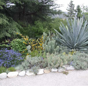 Shrub Borders